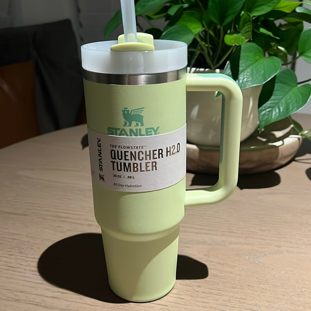 Stanley Quencher 2.0 Stainless Steel FlowState 30oz. Tumbler